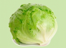 lettuce