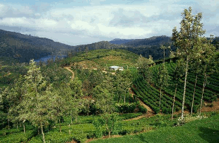 Sri Lanka